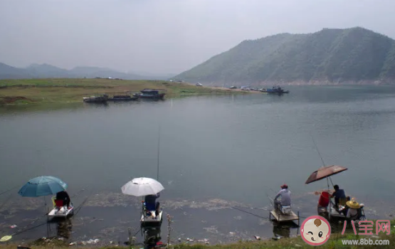 抖音釣魚是什么意思 釣魚梗的出處是什么