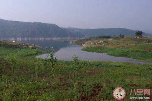 抖音釣魚是什么意思 釣魚梗的出處是什么