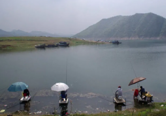 抖音釣魚是什么意思 釣魚梗的出處是什么