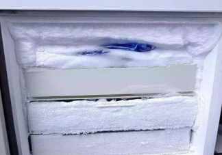 冰箱怎么快速除霜 冰箱結冰怎么辦