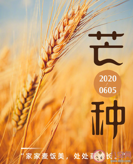 今日芒種節(jié)氣發(fā)朋友圈文案句子 適合芒種發(fā)的朋友圈說說