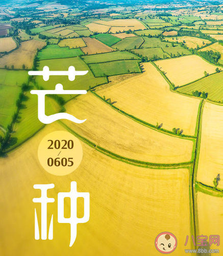 今日芒種節(jié)氣發(fā)朋友圈文案句子 適合芒種發(fā)的朋友圈說說