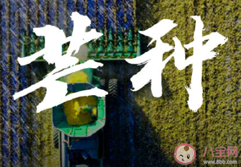 芒種早安文案句子2020 芒種節(jié)氣早安語(yǔ)錄說(shuō)說(shuō)