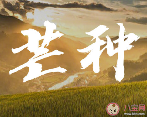 2020芒種節(jié)氣唯美說(shuō)說(shuō)短句 2020芒種節(jié)氣暖心祝福語(yǔ)文案說(shuō)說(shuō)