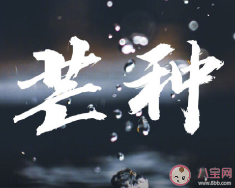 2020芒種節(jié)氣唯美說(shuō)說(shuō)短句 2020芒種節(jié)氣暖心祝福語(yǔ)文案說(shuō)說(shuō)