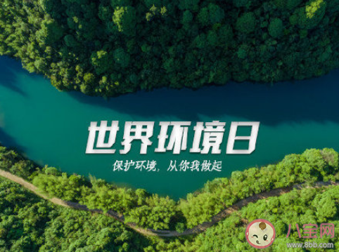 2020世界環(huán)境日宣傳標(biāo)語(yǔ)口號(hào)大全 2020世界環(huán)境日保護(hù)環(huán)境的標(biāo)語(yǔ)30句 2020世界環(huán)境日宣傳標(biāo)語(yǔ)口號(hào)大全 2020世界環(huán)境日保護(hù)環(huán)境的標(biāo)語(yǔ)30句