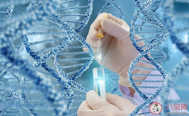 一代二代三代試管嬰兒分別適合什么人群 一代二代三代試管嬰兒有什么區別