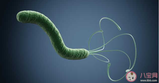 接吻會感染幽門螺旋桿菌嗎 怎么知道是不是有幽門螺旋桿菌