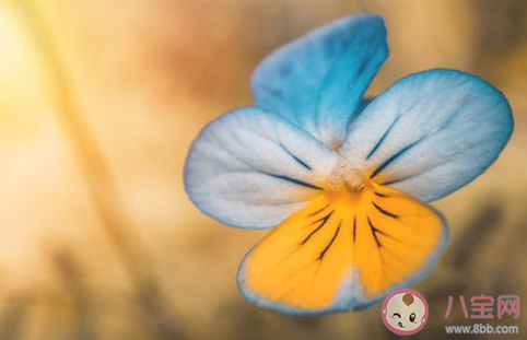 怎么看異地男友是不是出軌了 異地戀男朋友出軌了會有哪些表現