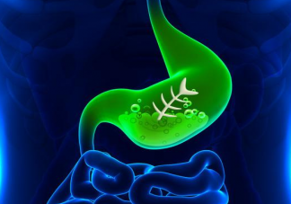 吃大蒜/用牙膏能殺死幽門螺桿菌嗎 益生菌可以消滅幽門螺桿菌嗎