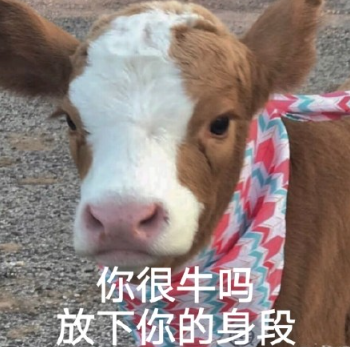 你很身段嗎?放下你的牛是什么意思 你很身段嗎?放下你的牛梗的出處是什么 你很身段嗎?放下你的牛是什么意思 你很身段嗎?放下你的牛梗的出處是什么