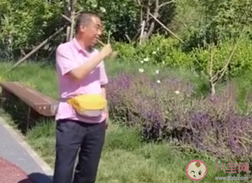 沒想到蝴蝶也能溜是什么梗   為什么蝴蝶會被紙蝴蝶吸引