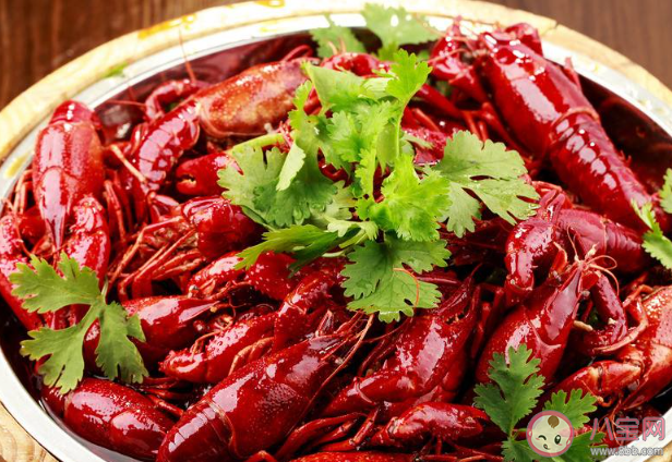 2020朋友圈曬美食的熱門出圈文案 在朋友圈曬美食發什么文案好 2020朋友圈曬美食的熱門出圈文案 在朋友圈曬美食發什么文案好