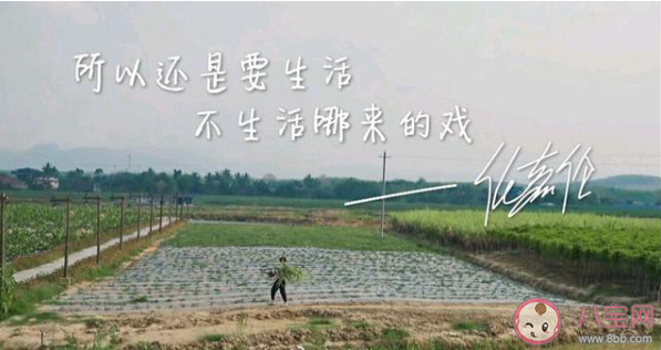 國超文集是什么意思什么梗 國超文集經典語錄大全