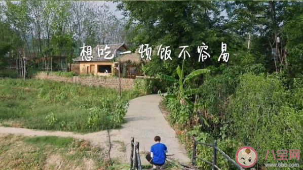 國超文集是什么意思什么梗 國超文集經典語錄大全