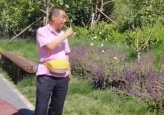 沒想到蝴蝶也能溜是什么梗   為什么蝴蝶會被紙蝴蝶吸引