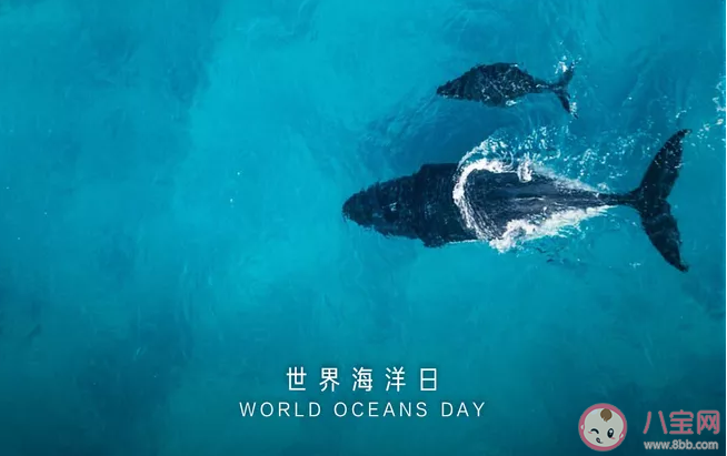 2020世界海洋日主題是什么 世界海洋日主題內(nèi)容 2020世界海洋日主題是什么 世界海洋日主題內(nèi)容