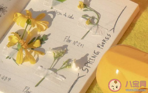 怎么取一個好聽的微信號 好聽又好記的微信號大全