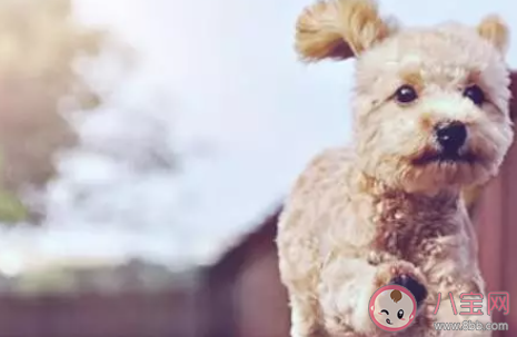 微信號(hào)怎么改漂亮又好記 2020獨(dú)一無(wú)二微信號(hào)名字大全