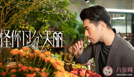 怪你過分美麗是高以翔最后一部劇嗎 怪你過分美麗劇情內容介紹