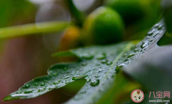 每天下雨該怎么發朋友圈 天天下雨好煩的朋友圈說說