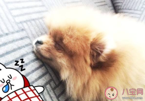 午休總是睡不著怎么辦 午休怎樣才能入睡