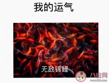 2020下半年你的目標(biāo)是什么 2020下半年目標(biāo)盤點(diǎn) 2020下半年你的目標(biāo)是什么 2020下半年目標(biāo)盤點(diǎn)