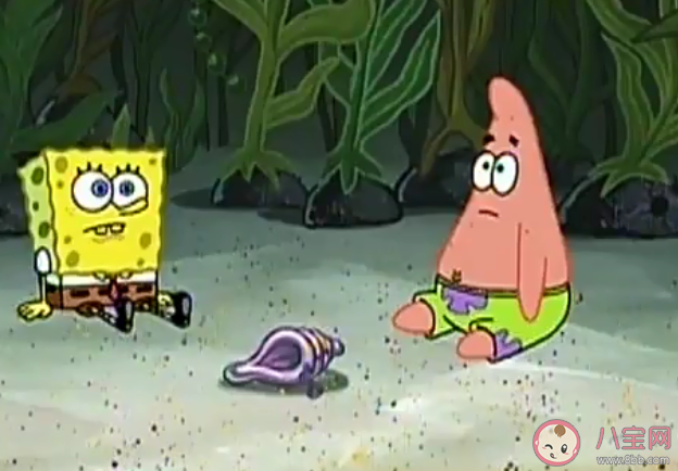 你為什么不問問神奇海螺呢是什么意思什么梗 你為什么不問問神奇海螺呢出處來源是什么