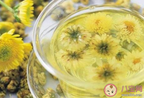 夏天適合喝什么花茶 夏天喝花茶好還是綠茶好 夏天適合喝什么花茶 夏天喝花茶好還是綠茶好