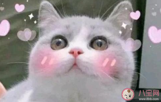 2020抖音關于撩人的熱門文案大全 2020抖音甜甜的撩人說說大合集 2020抖音關于撩人的熱門文案大全 2020抖音甜甜的撩人說說大合集