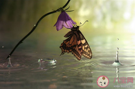 早上下暴雨的文案說說 大早上暴雨來臨的朋友圈感言句子