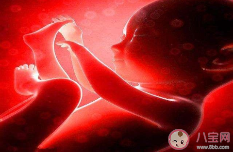 孩子真的有宮內記憶嗎 如何利用宮內記憶教育孩子