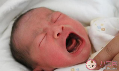 孩子真的有宮內記憶嗎 如何利用宮內記憶教育孩子