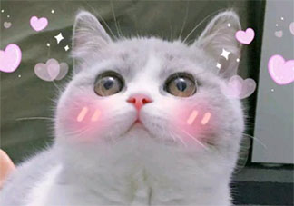 2020抖音關(guān)于撩人的熱門文案大全 2020抖音甜甜的撩人說說大合集