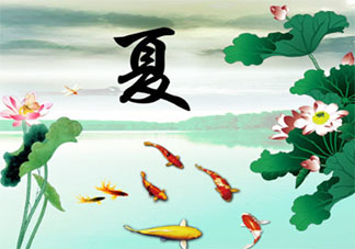 夏天最煩惱的一件事情是什么 如何解決夏天的煩惱