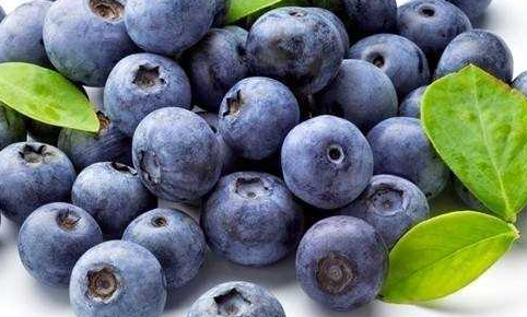 20種最適合刷脂的健康冷門食物 吃什么刷脂快減肥