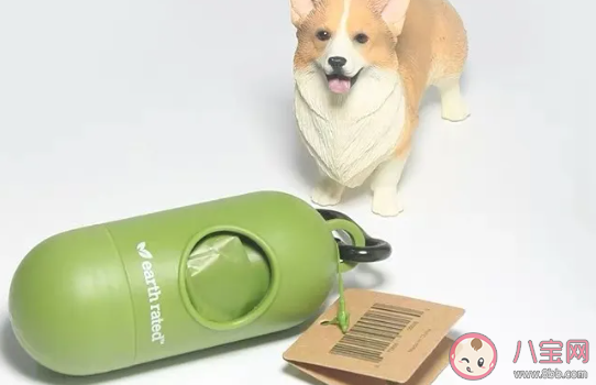 養狗和養貓哪個更花錢 養狗養貓哪個更好