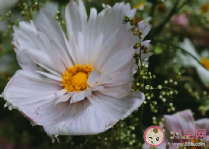 害怕戀愛算不算病 戀愛前恐懼癥是怎樣的