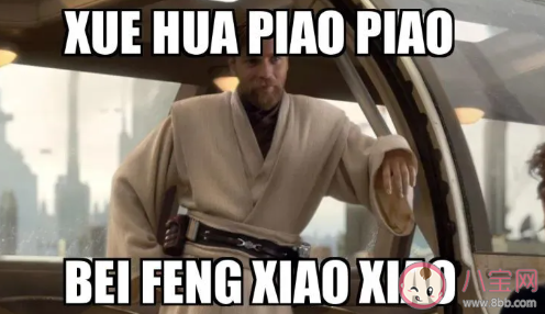 一剪梅為什么在外國火了起來 雪花飄飄北風蕭蕭什么梗