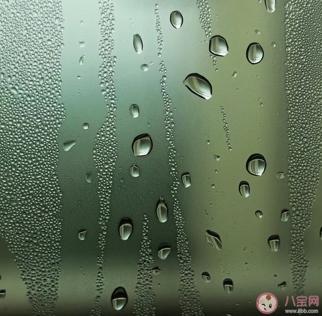 2020梅雨季節(jié)是什么時(shí)候 梅雨季節(jié)養(yǎng)生要點(diǎn)知識(shí)