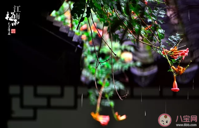 梅雨季節濕氣重如何祛濕 梅雨季節濕氣重怎么辦