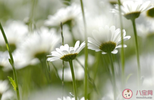 被蟲子咬了很癢的朋友圈說說 蟲子太多被咬了咬發(fā)朋友圈說說 被蟲子咬了很癢的朋友圈說說 蟲子太多被咬了咬發(fā)朋友圈說說