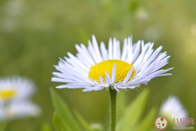 被蟲子咬了很癢的朋友圈說說 蟲子太多被咬了咬發(fā)朋友圈說說 被蟲子咬了很癢的朋友圈說說 蟲子太多被咬了咬發(fā)朋友圈說說