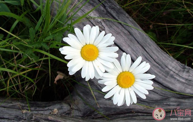 被蟲子咬了很癢的朋友圈說說 蟲子太多被咬了咬發(fā)朋友圈說說 被蟲子咬了很癢的朋友圈說說 蟲子太多被咬了咬發(fā)朋友圈說說