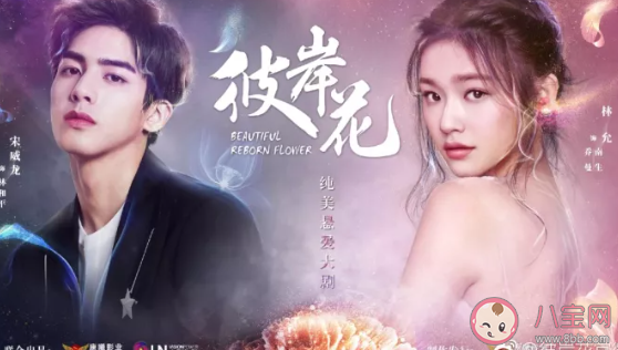 佛系追星分為哪幾類 佛系追星是怎樣的