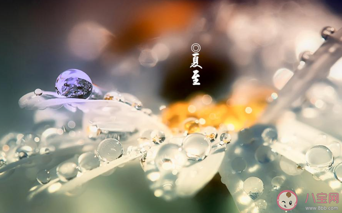 2020夏至到了的朋友圈個性文案句子 2020夏至節氣發朋友圈祝福語文案