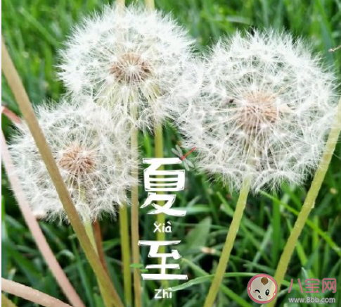 2020抖音今日夏至熱門創意文案大全 2020抖音夏至節氣文案說說精選