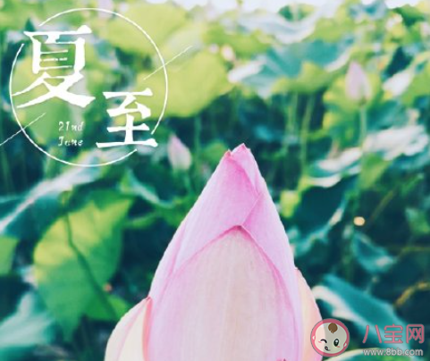 2020抖音今日夏至熱門創意文案大全 2020抖音夏至節氣文案說說精選
