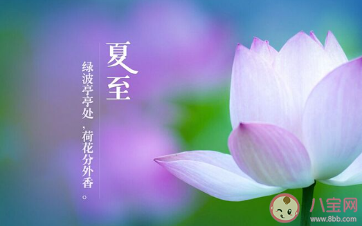 2020抖音今日夏至熱門創意文案大全 2020抖音夏至節氣文案說說精選