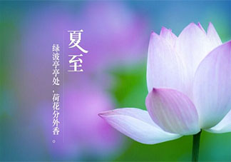 2020抖音今日夏至熱門創意文案大全 2020抖音夏至節氣文案說說精選